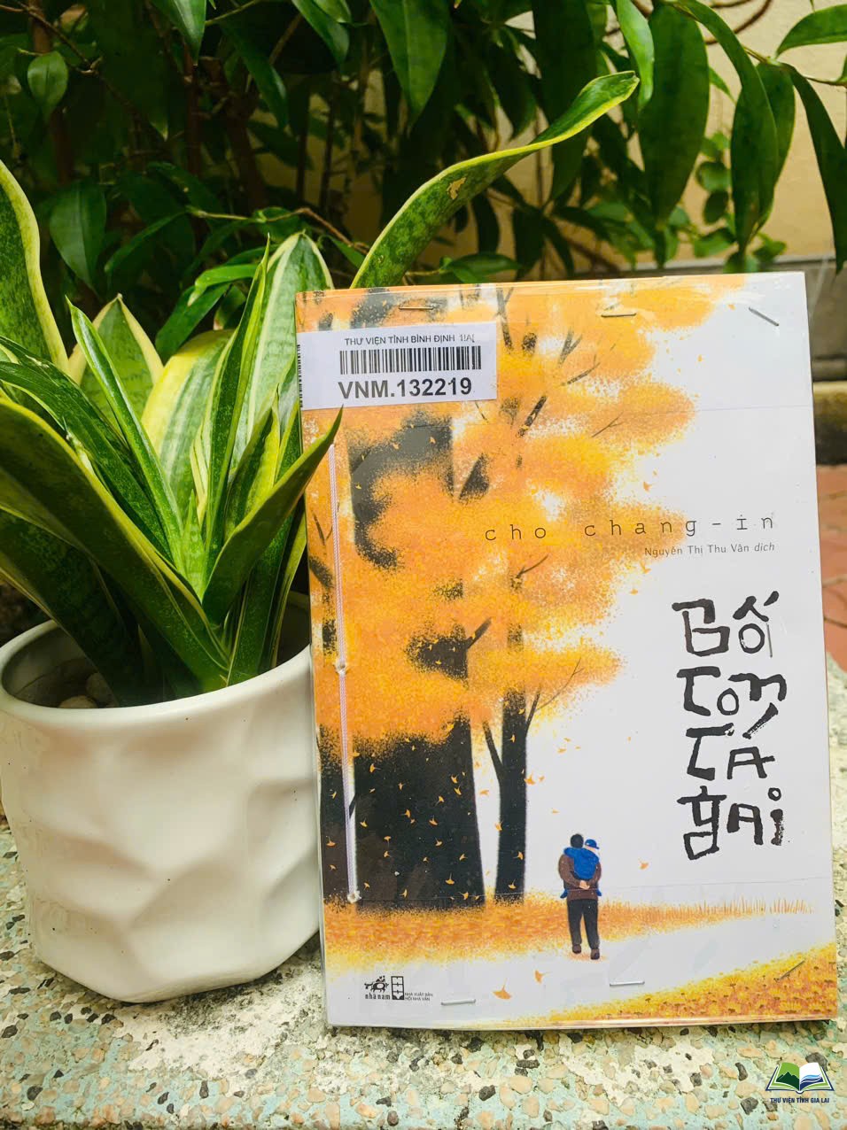 Giới thiệu sách: Bố con cá gai