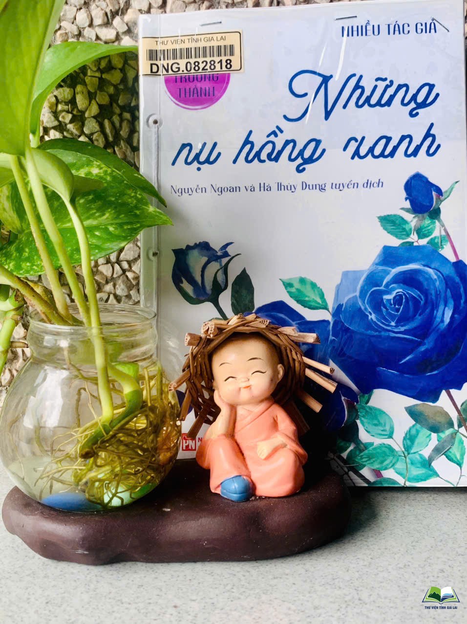 z7329027216893 f37e78fb79f7cc83b56b58af5ab84b69